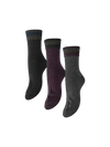 Joley 3-Pack Socks - Black Pink Glitter