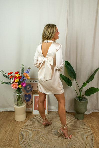 Angelic Dress - Champagne