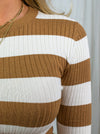 Plum Pullover - Brown Stripes